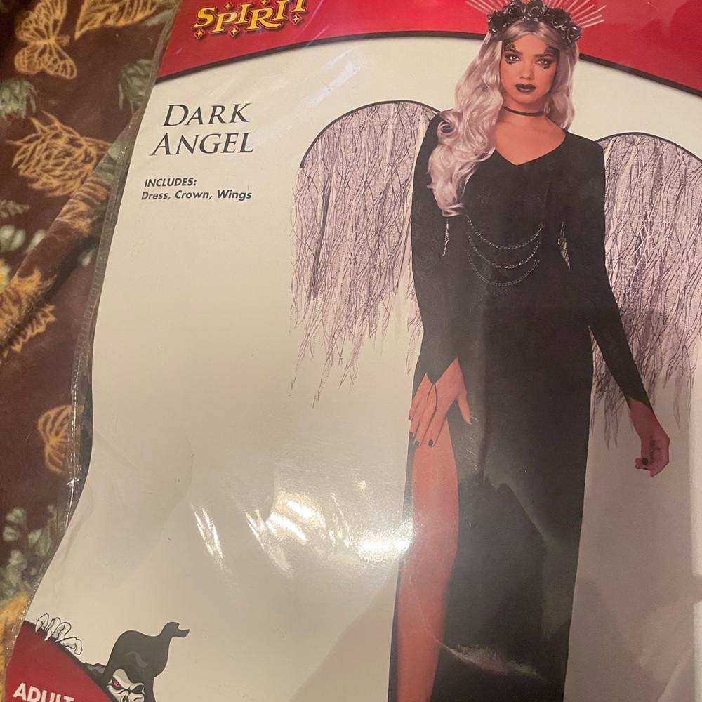 Spirit Dark Angel Costume with Black and Silver Accents